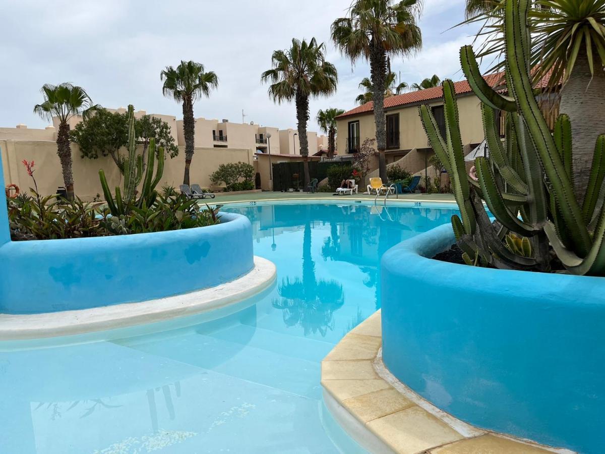 Surf & Chill Bungalow 69, Quiet Green Oasis With Community Swimmingpool Parque Holandes Exterior foto