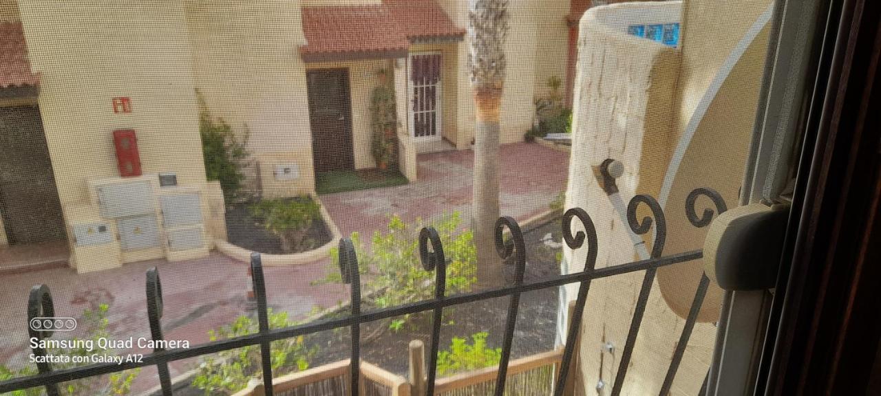 Surf & Chill Bungalow 69, Quiet Green Oasis With Community Swimmingpool Parque Holandes Exterior foto