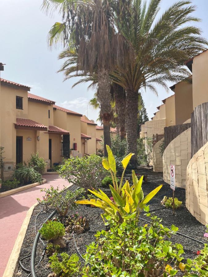 Surf & Chill Bungalow 69, Quiet Green Oasis With Community Swimmingpool Parque Holandes Exterior foto