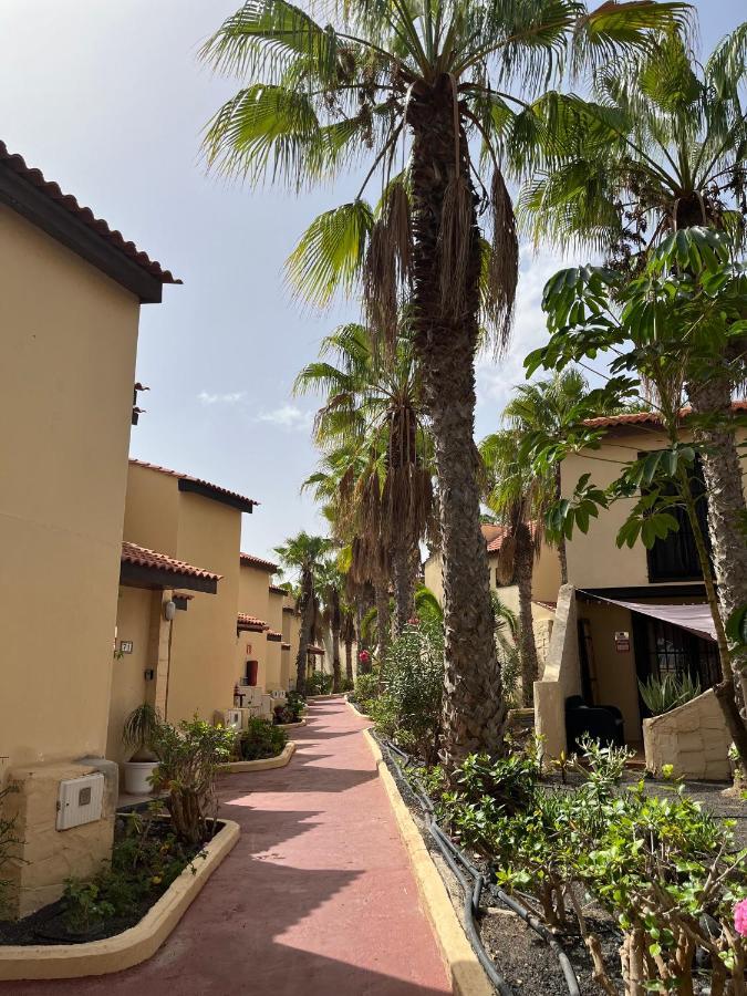 Surf & Chill Bungalow 69, Quiet Green Oasis With Community Swimmingpool Parque Holandes Exterior foto