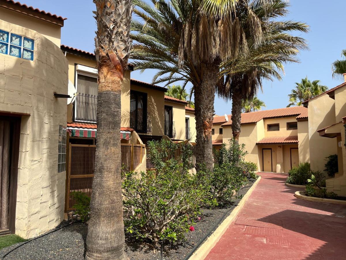 Surf & Chill Bungalow 69, Quiet Green Oasis With Community Swimmingpool Parque Holandes Exterior foto
