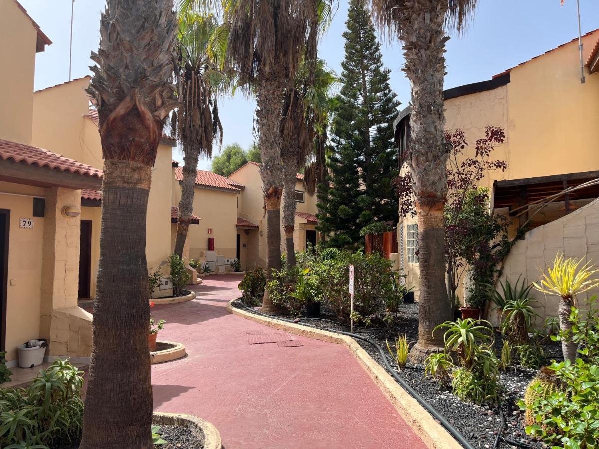 Surf & Chill Bungalow 69, Quiet Green Oasis With Community Swimmingpool Parque Holandes Exterior foto
