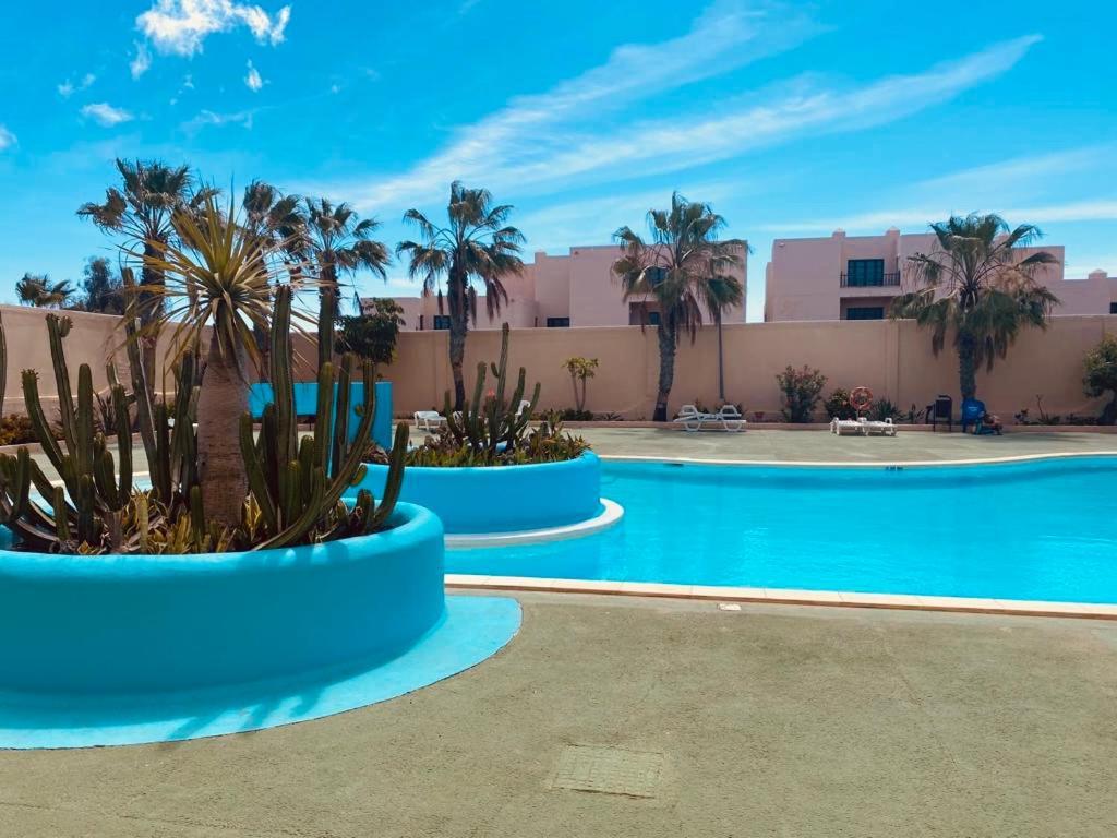 Surf & Chill Bungalow 69, Quiet Green Oasis With Community Swimmingpool Parque Holandes Exterior foto