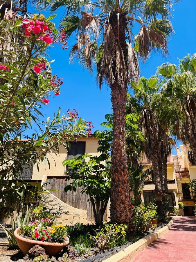 Surf & Chill Bungalow 69, Quiet Green Oasis With Community Swimmingpool Parque Holandes Exterior foto